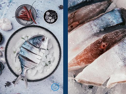 生鲜海产拍摄美食静物产品摄影——金鲳鱼