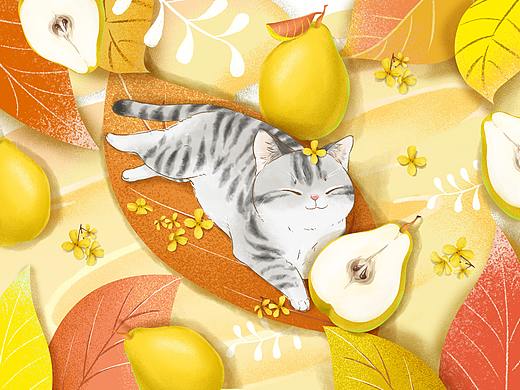 果酒包装插画（个人主页-ZNDUzMTgzNzI=） - 商业插画 - 站酷设计师苟大妞原创素材 - 站酷ZCOOL