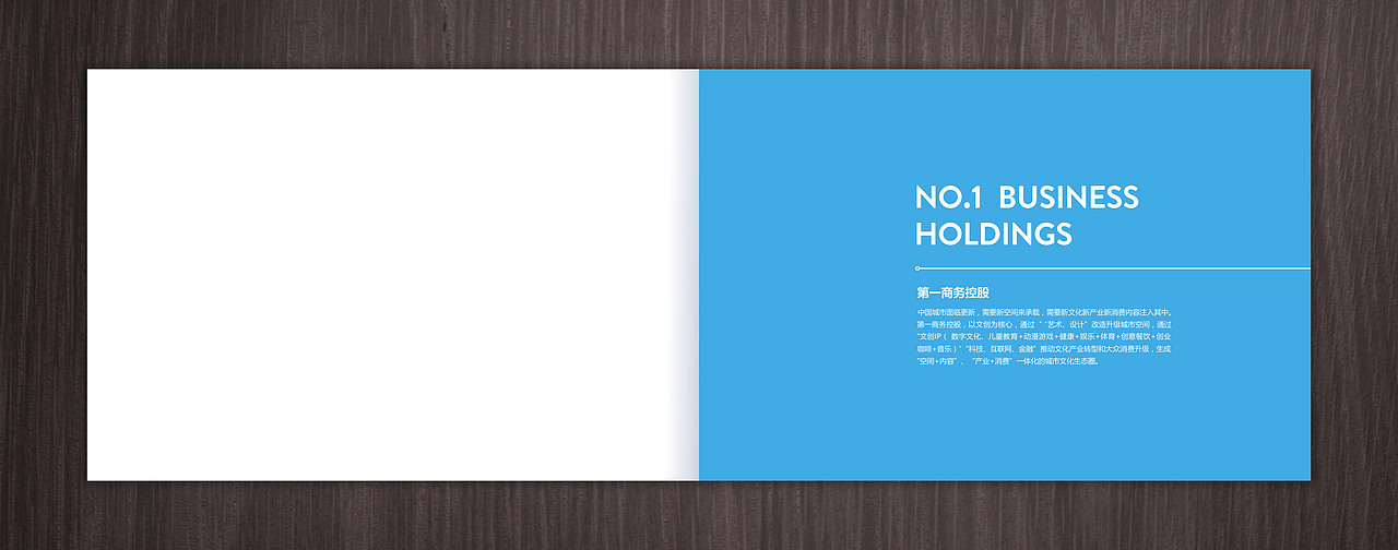 VI手册（图ZOTg4ODc4ODQ=） - 品牌 - 站酷设计师后知漫觉原创素材 - 站酷ZCOOL