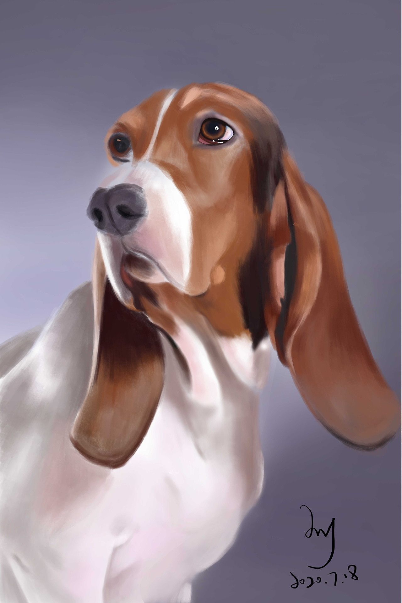 很早之前的动物板绘