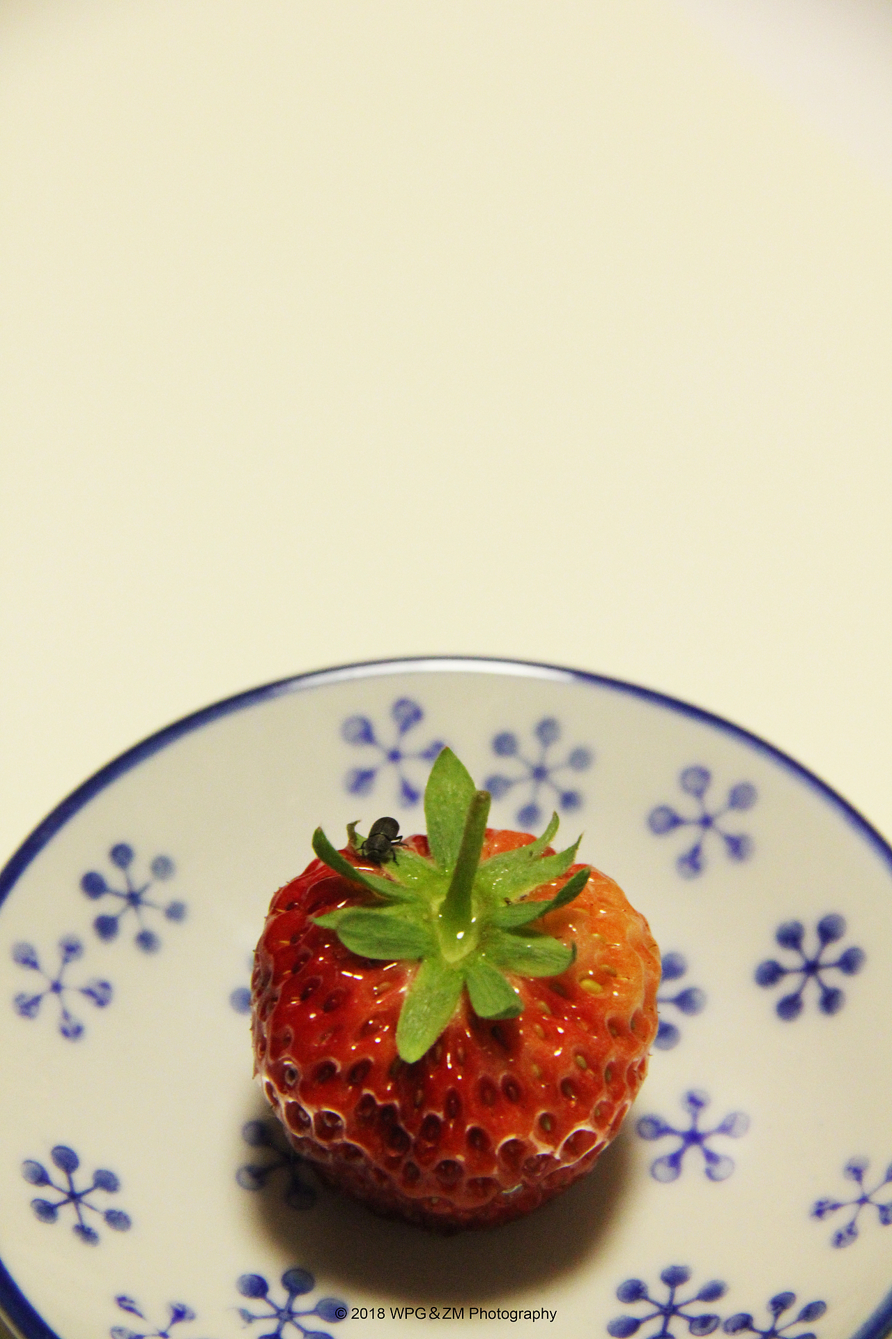 《 小虫与草莓 》