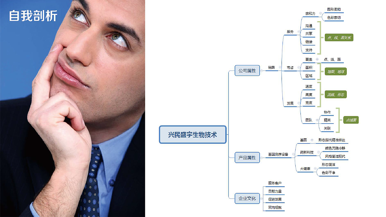[兴民盛宇] logo提案概要