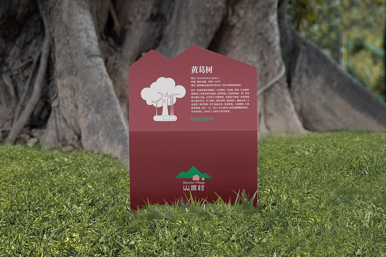 山厦村 | 芋乡美地 山下人家