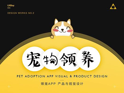 从0到1：领宠APP产品与视觉设计分享