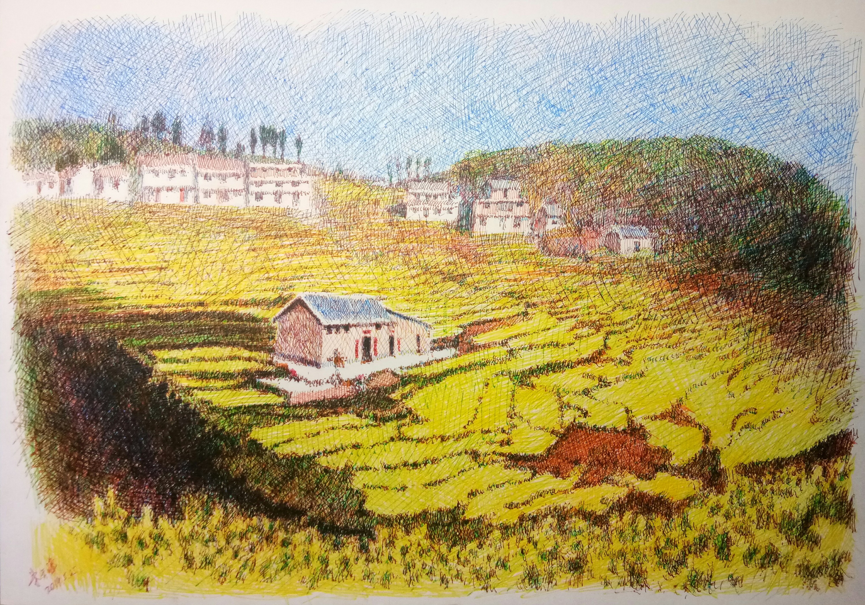 彩色钢笔画和黑白钢笔画习作