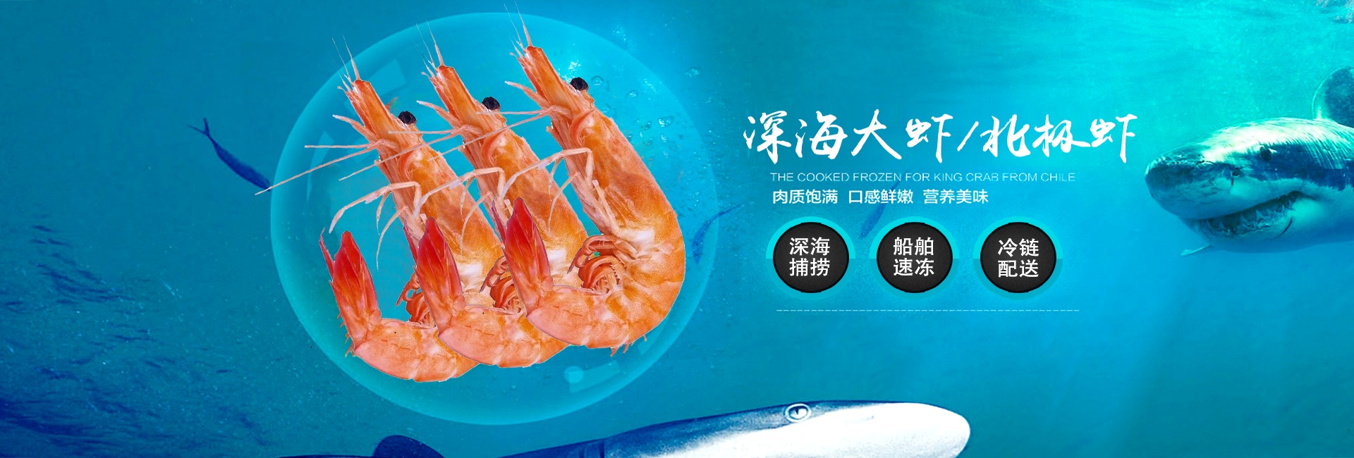 京东水产电商banner