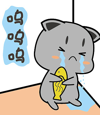 喵大宝静态表情包