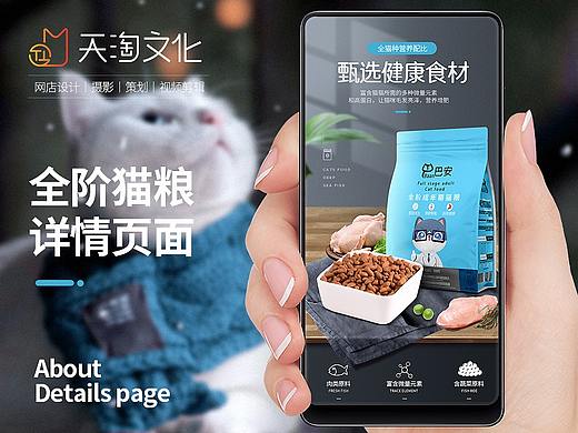 电商猫粮宠物食品猫咪全价成猫幼猫粮详情页海报描述页
