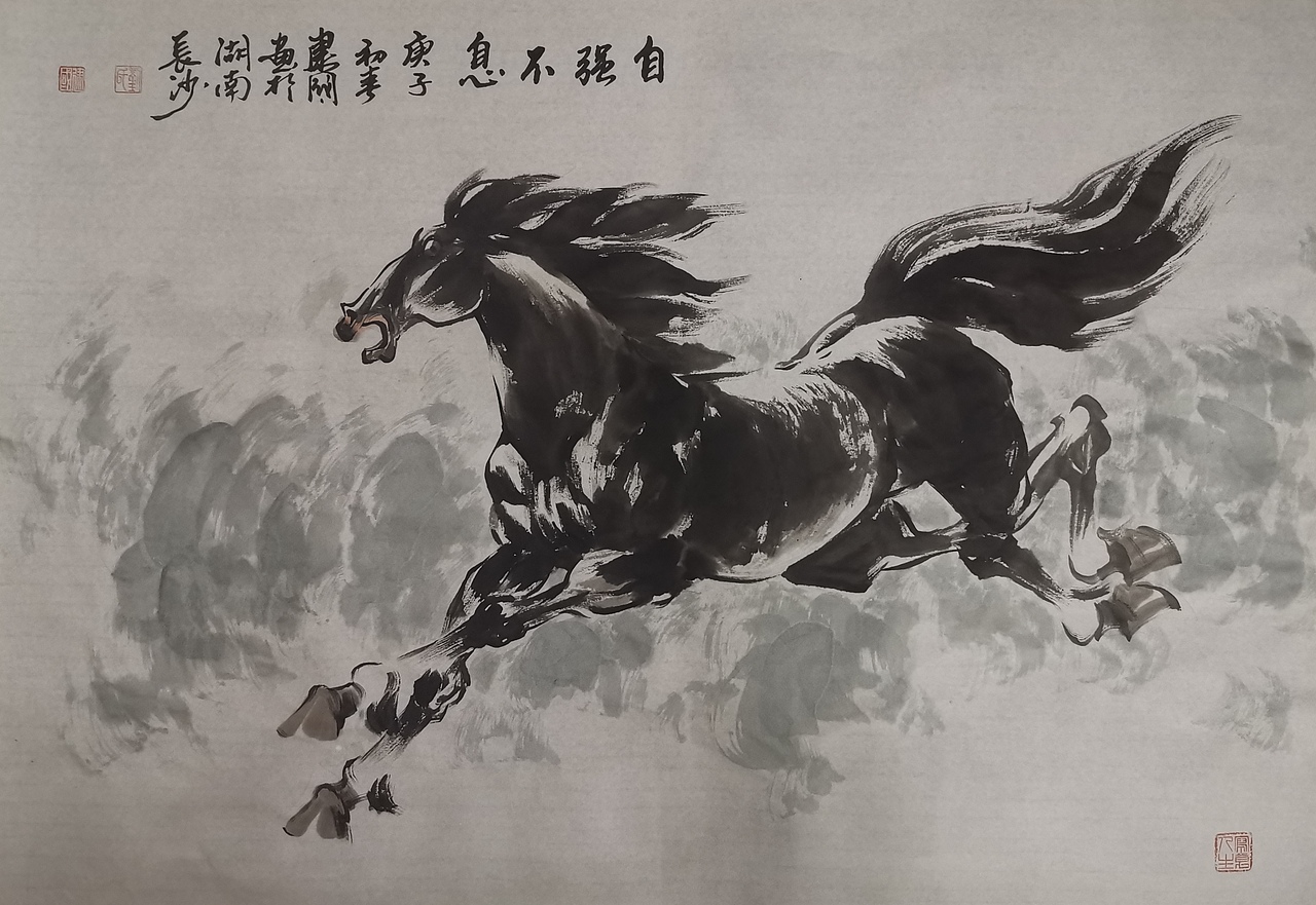 刘建国画马作品欣赏