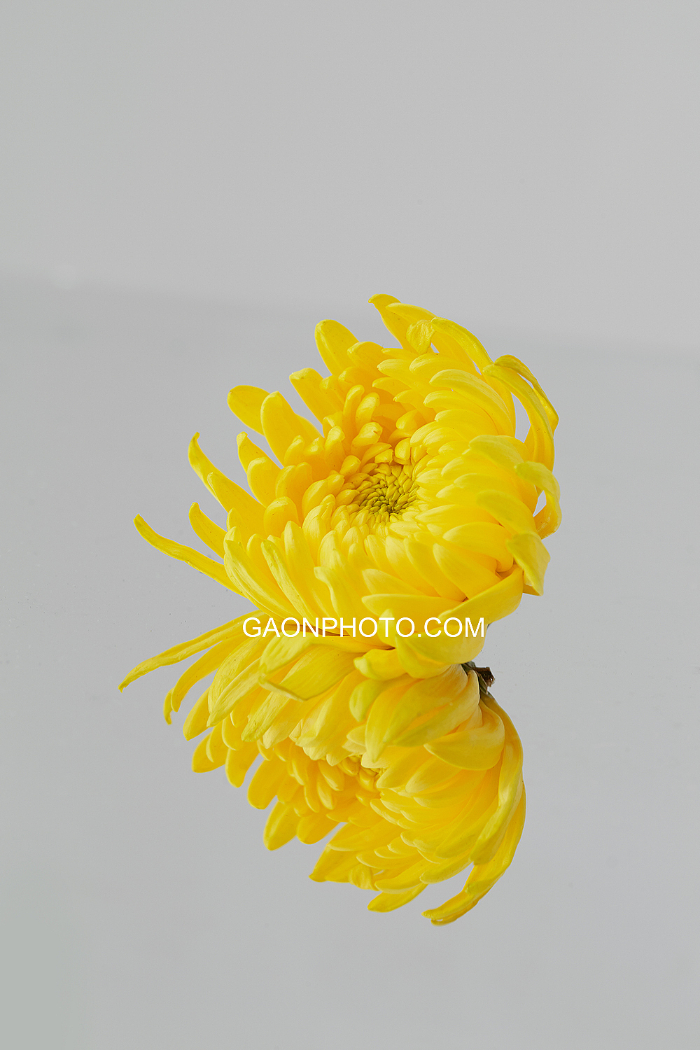 审美世界（图ZMjExOTIyNDE2） - 人像摄影 - 站酷设计师海伦Helen化妆造原创素材 - 站酷ZCOOL