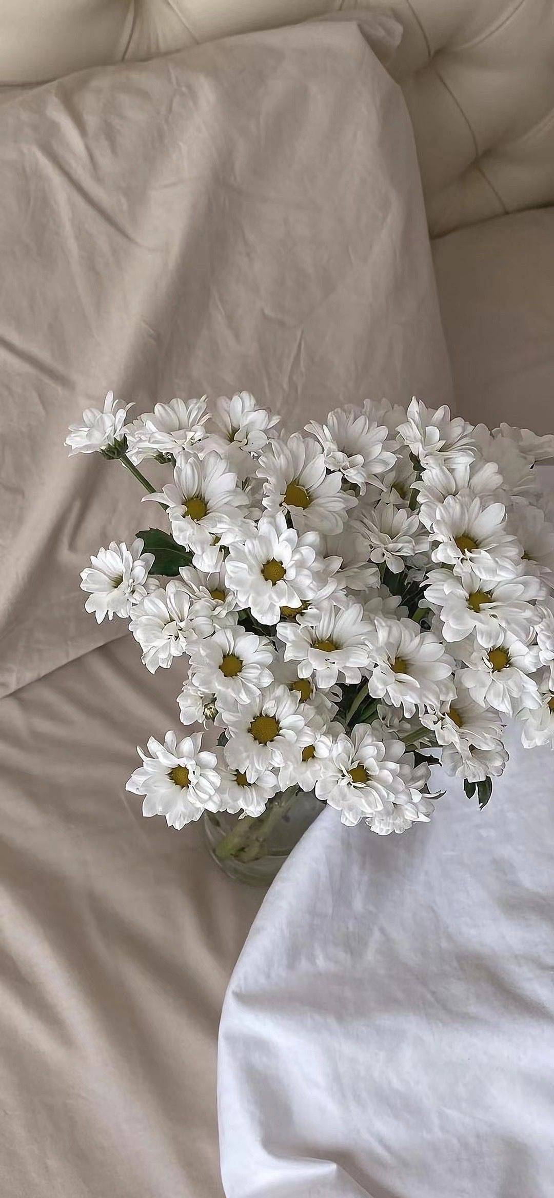 平平淡淡才是真