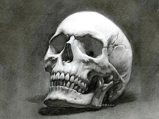 素描头骨