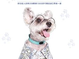 海报