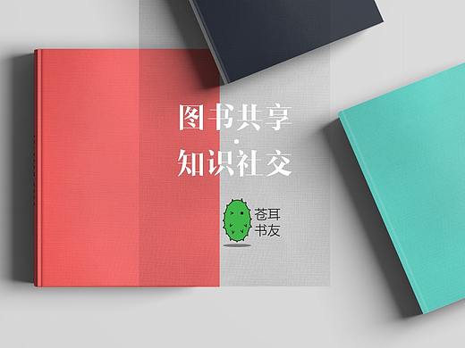 苍耳书友：开发者用户体验报告