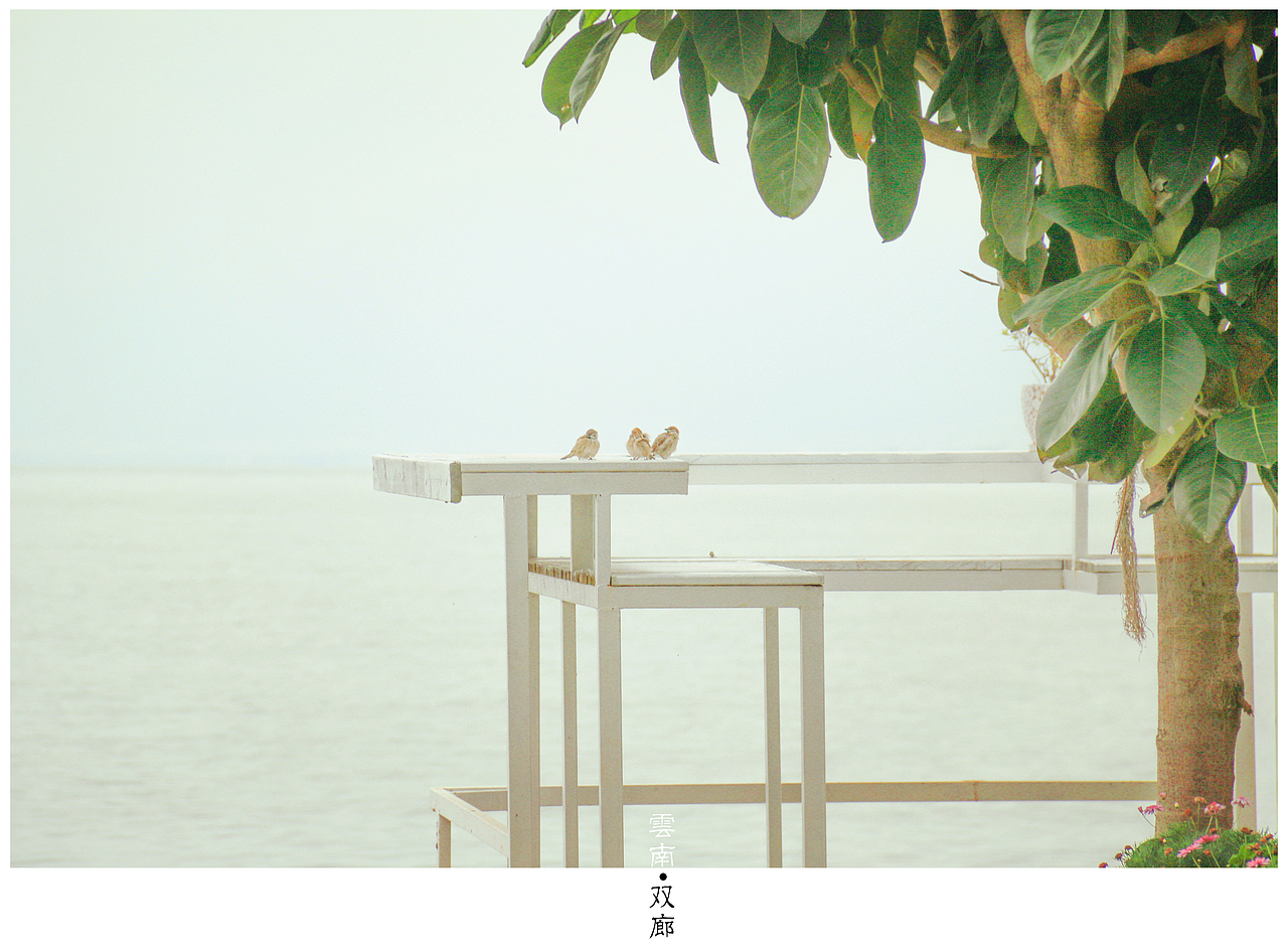 杂拍的风景（图ZMzY4MTA3MjA=） - 风光摄影 - 站酷设计师王游歌原创素材 - 站酷ZCOOL