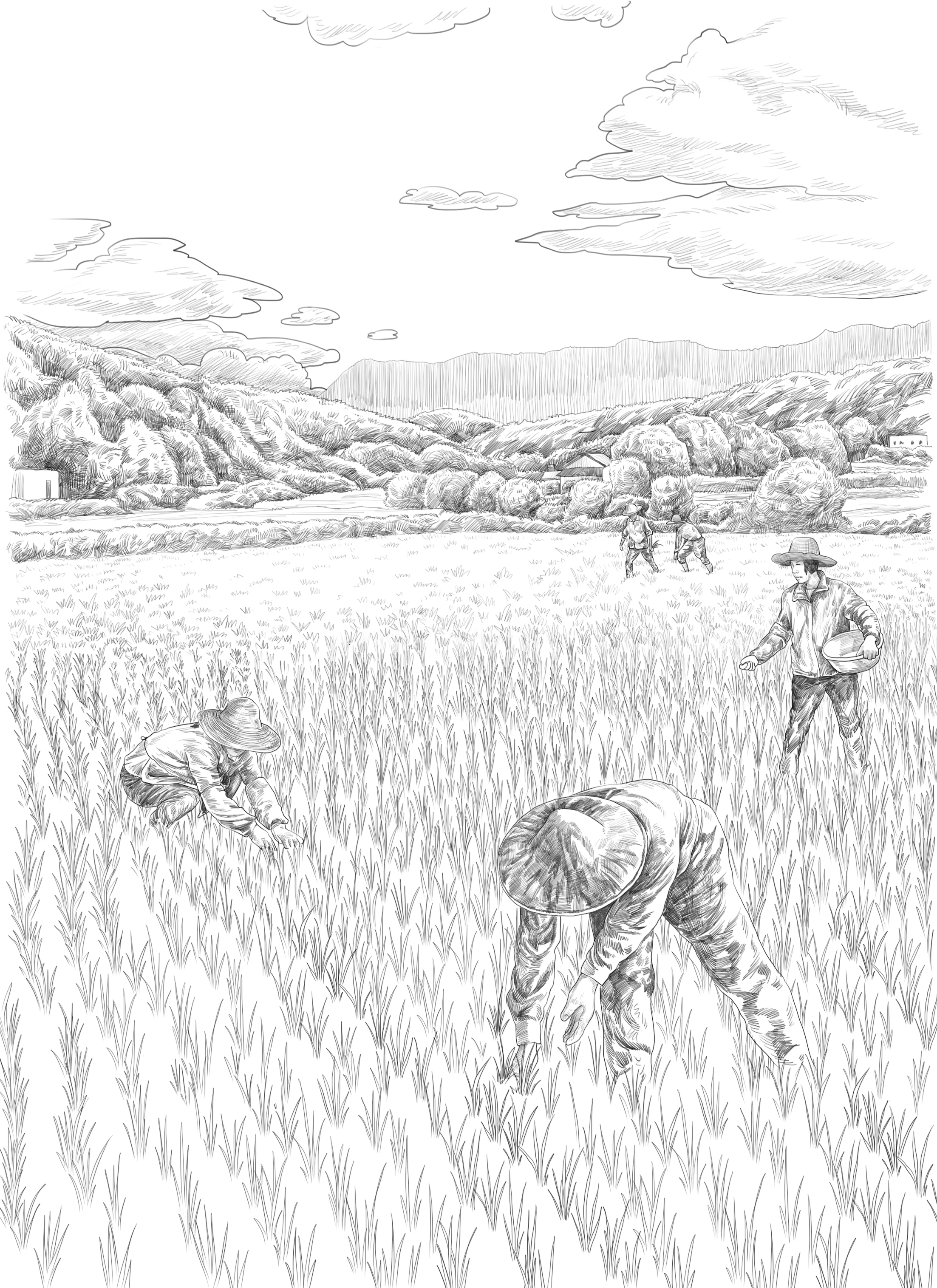 种水稻的老爷爷简笔画图片