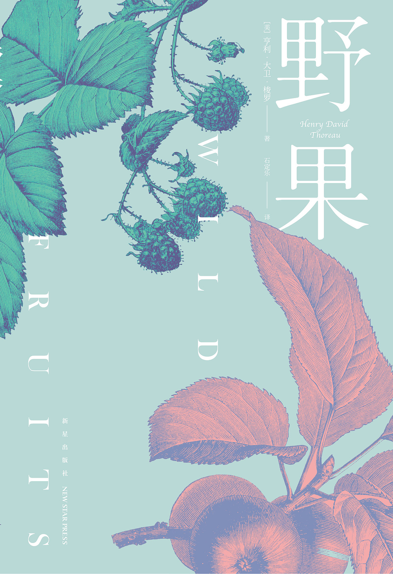 《野果》书封设计
