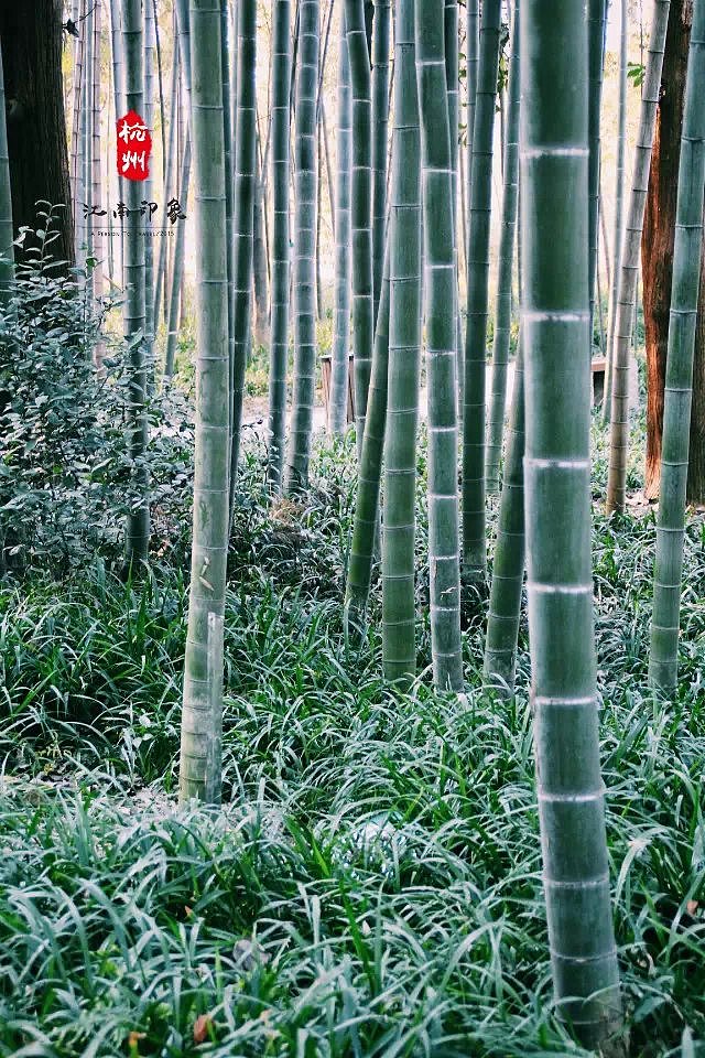 杭州（图ZMTcxMTUxNzA4） - 风光摄影 - 站酷设计师李墨尘原创素材 - 站酷ZCOOL