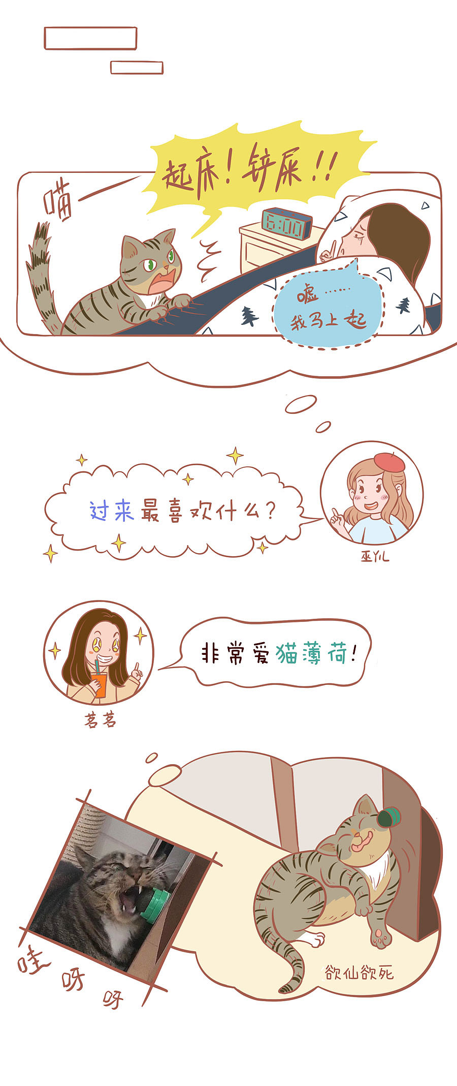 猫友聊天日常--茗茗与过来