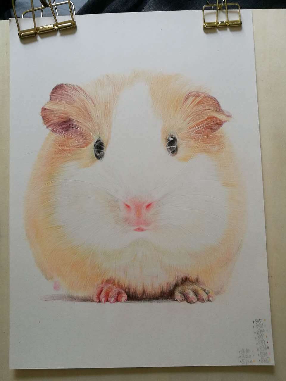 彩铅-胖老鼠胖（图ZNzY3MDMyODg=） - 创作习作 - 站酷设计师summerdrizzle原创素材 - 站酷ZCOOL