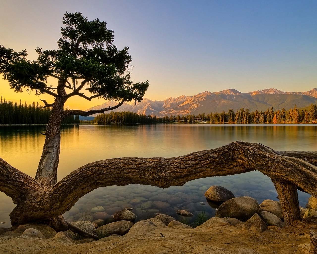 不出门的热心网友的个人主页（背景预览） - 主页背景设置 - 站酷设计师不出门的热心网友原创素材 - 站酷ZCOOL