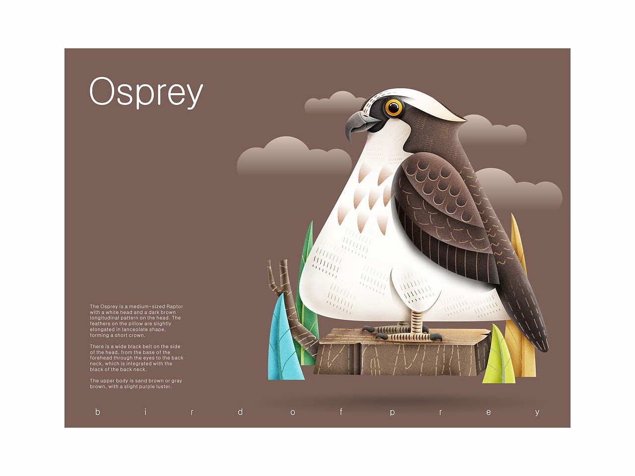 鸟儿（图ZMjEwNTYzNDcy） - 绘本 - 站酷设计师言身寸言身寸原创素材 - 站酷ZCOOL