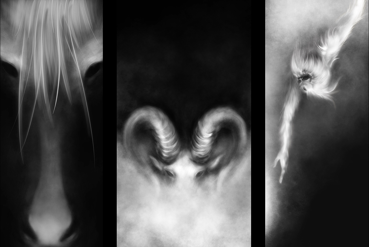 【十二聚】 生肖插画