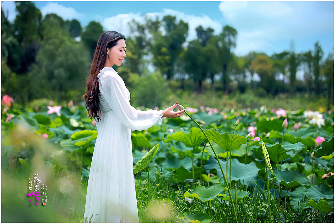 [荷花仙子]（圖ZMjk5OTE5Mjg=） - 人像攝影 - 站酷設(shè)計師千百度vip原創(chuàng)素材 - 站酷ZCOOL