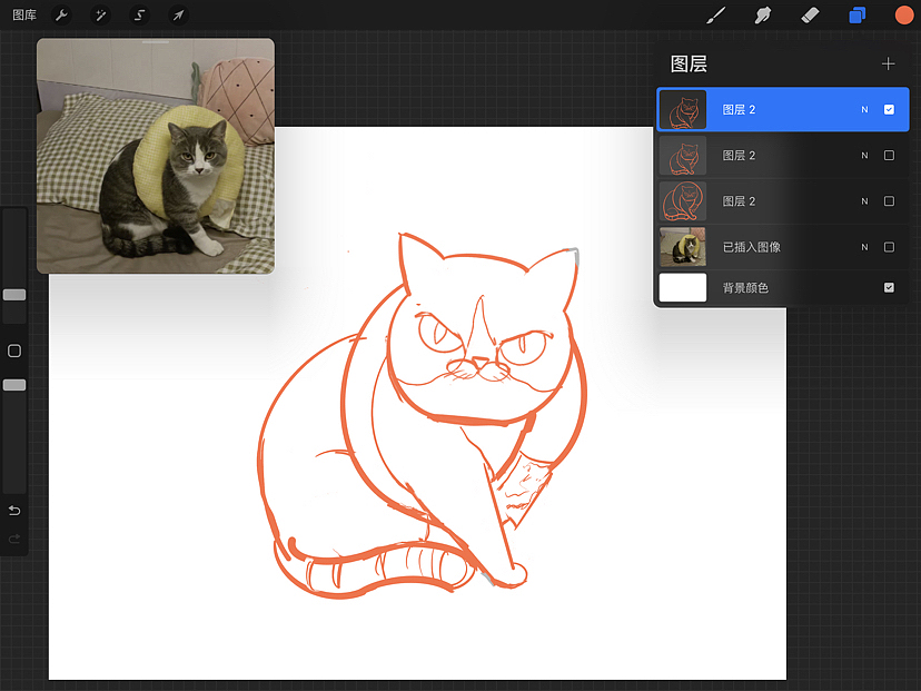 猫咪插画练习