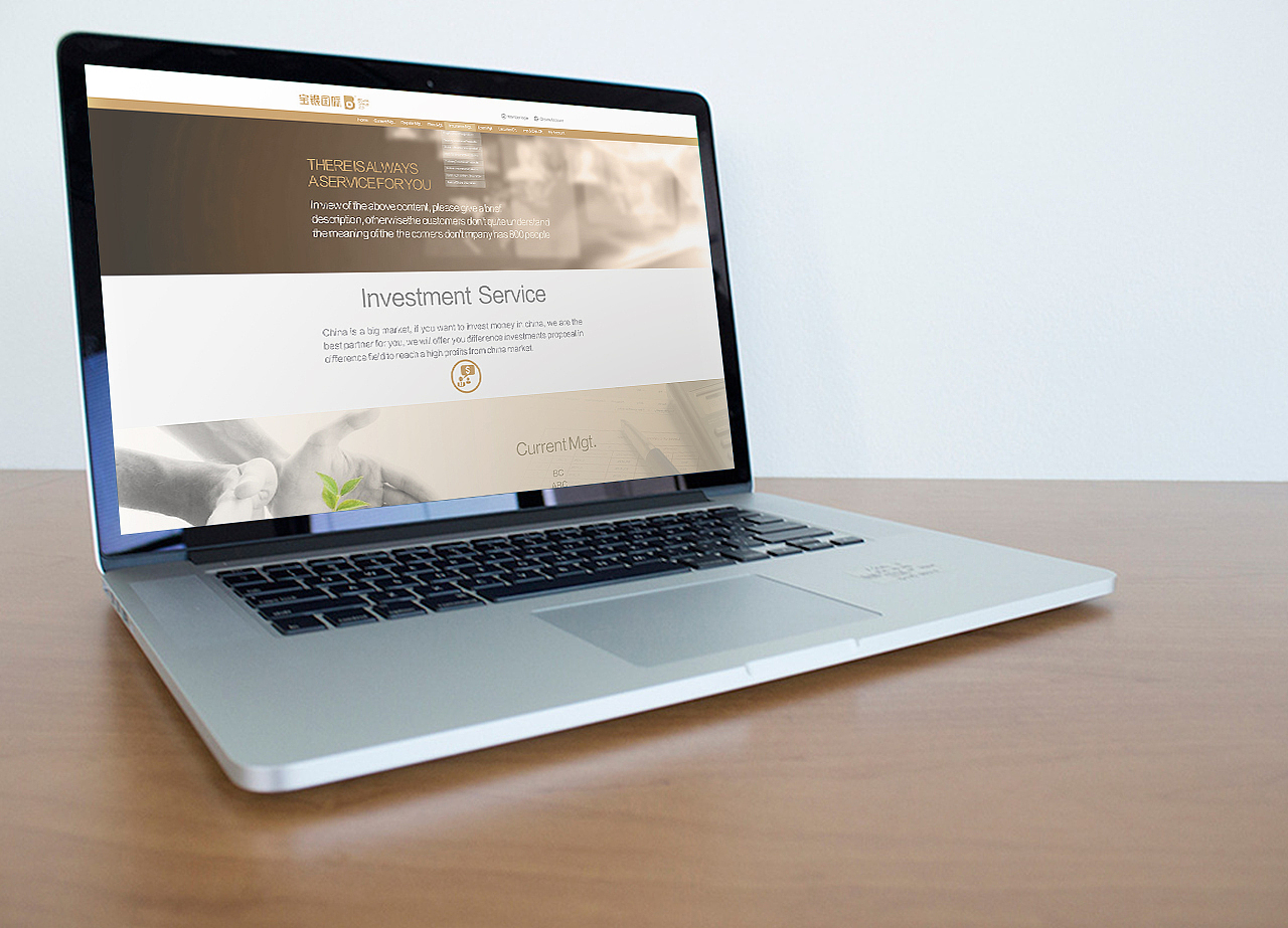 金融网站设计（图ZODExNTcwNDA=） - 门户网站 - 站酷设计师姚小平原创素材 - 站酷ZCOOL