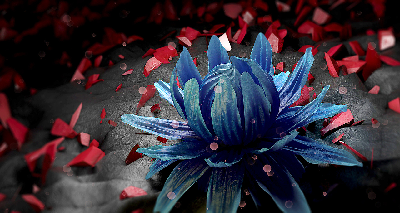 【C4D练习】C4D花瓣制作练习（图ZODkxMDM3MjQ=） - 场景 - 站酷设计师腹话原创素材 - 站酷ZCOOL