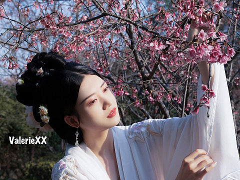 春天穿着汉服拍拍樱花最合适啦