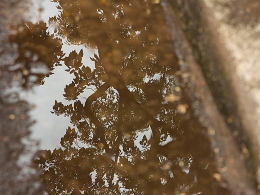 影（个人主页-ZNTI4NDUyNDQ=） - 风光摄影 - 站酷设计师开心超人辰辰原创素材 - 站酷ZCOOL