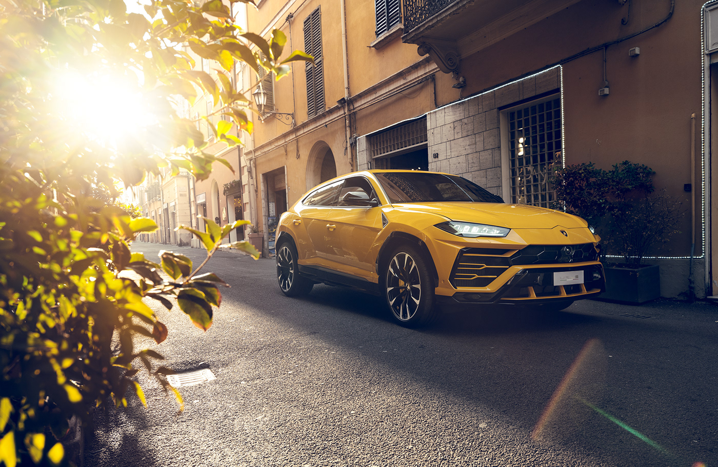 鱼糕啊的个人主页（封面预览） - 主页封面设置 - 站酷设计师鱼糕啊原创素材 - 站酷ZCOOL