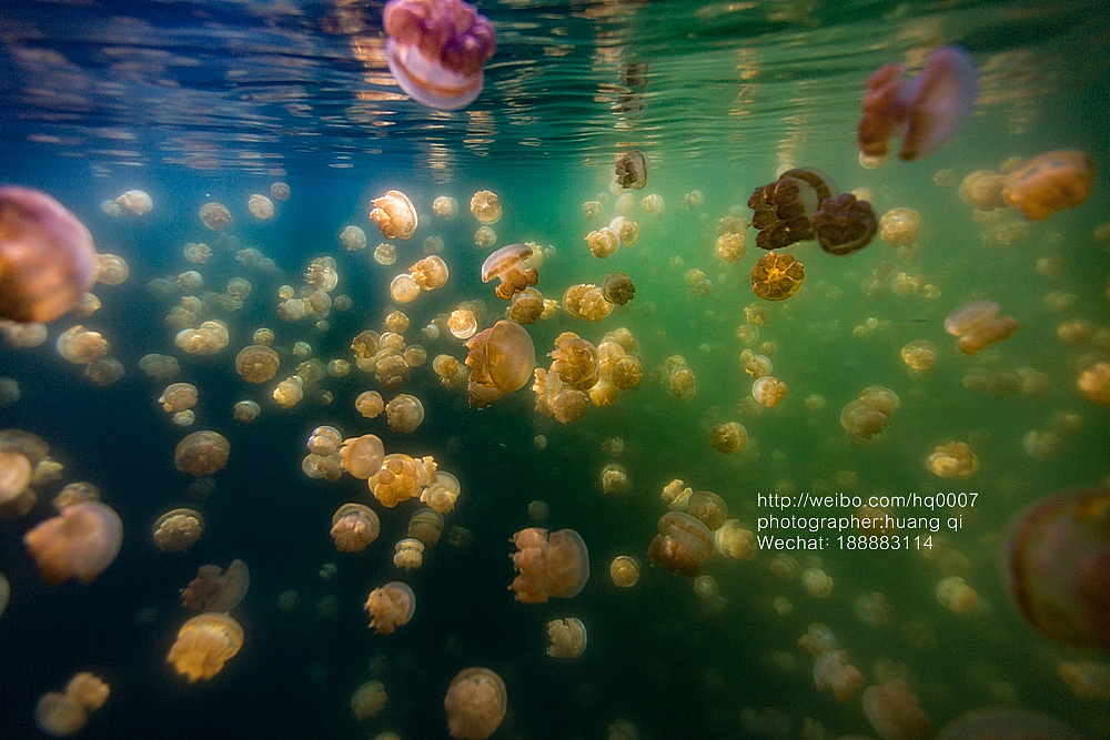 水下摄影（图ZNDUxNTY2MzI=） - 人像摄影 - 站酷设计师摄影师黄棋原创素材 - 站酷ZCOOL