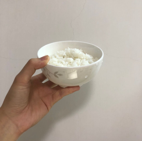 这是我当天晚上的一碗剩饭,只有半碗了,拍完照还要吃.