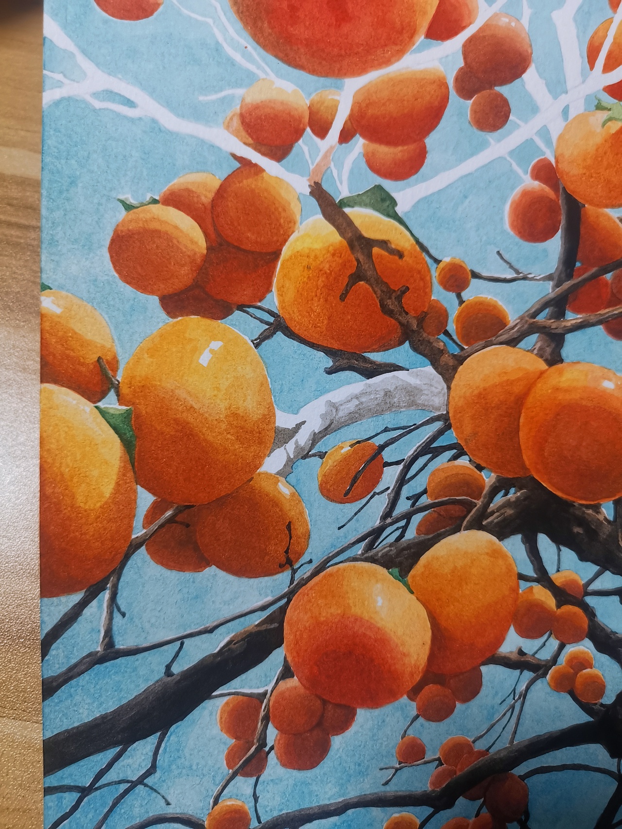 2020水彩画收官之作 の《2021·柿柿如意/柿柿顺心》