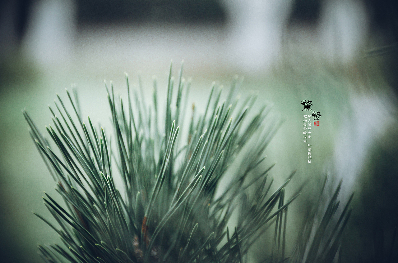 惊蛰（图ZOTYyMTQyMzY=） - 人像摄影 - 站酷设计师空谷客原创素材 - 站酷ZCOOL