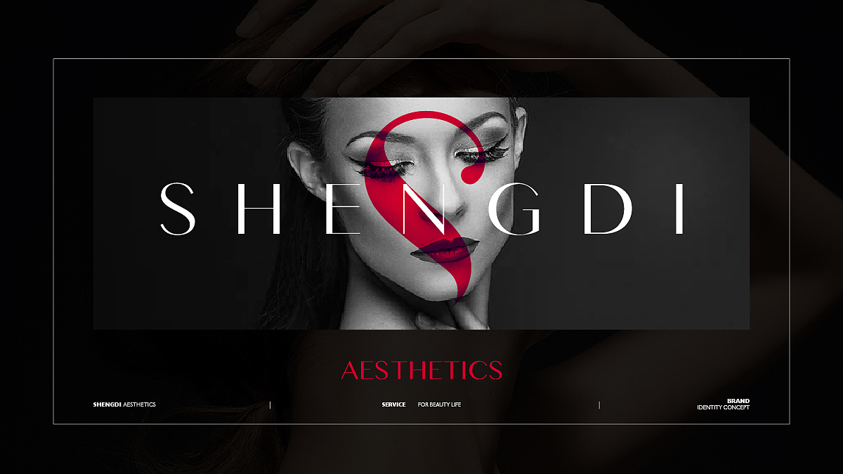 圣蒂美学 视觉品牌定位