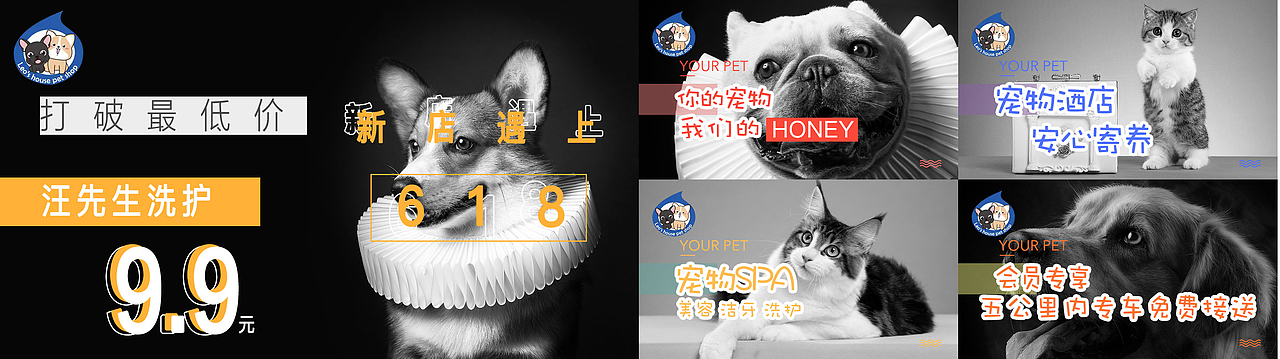 宠物广告（图ZMjI4NTAzMzU2） - 海报 - 站酷设计师大白X原创素材 - 站酷ZCOOL