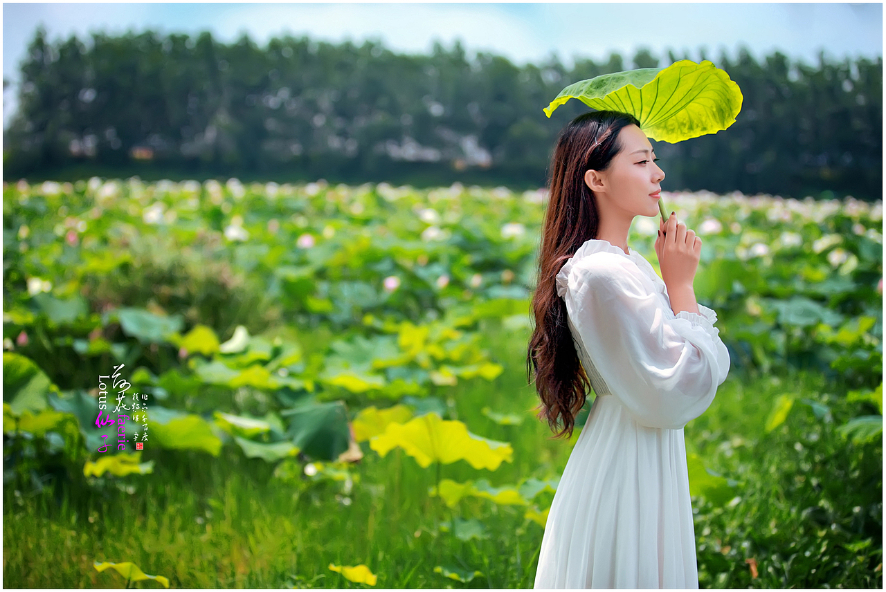 [荷花仙子]（圖ZMjk5OTE5MzI=） - 人像攝影 - 站酷設(shè)計師千百度vip原創(chuàng)素材 - 站酷ZCOOL