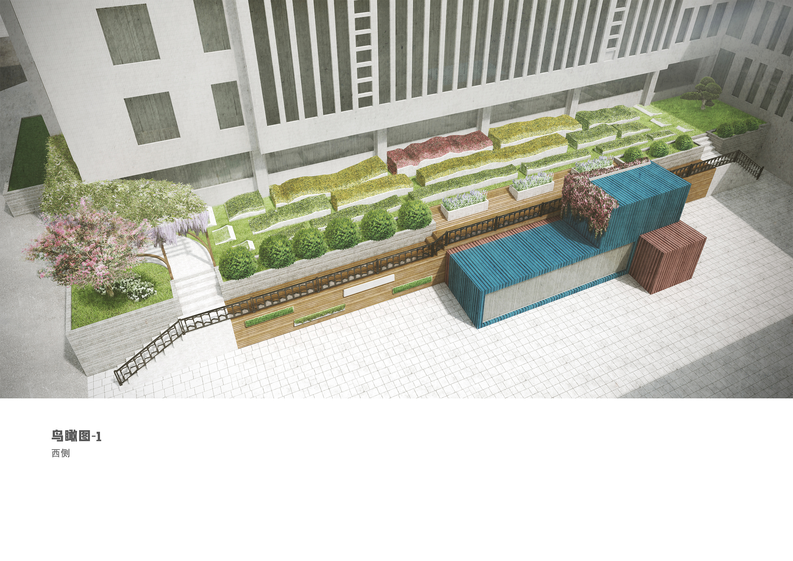 校园绿地景观设计作业