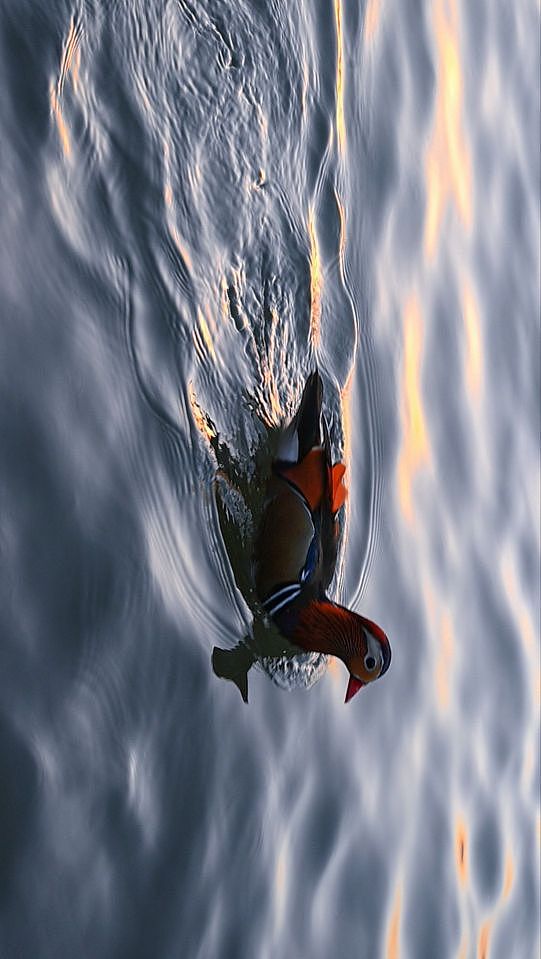 日出东方落于西（图ZMzU3NjAyMjI0） - 风光摄影 - 站酷设计师春夏Carida原创素材 - 站酷ZCOOL