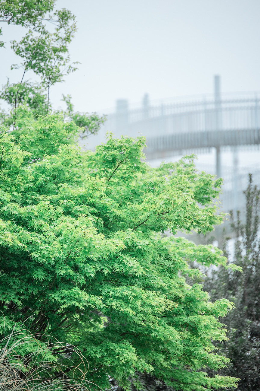 森海幼儿园-🌈春耕初体验🌽
