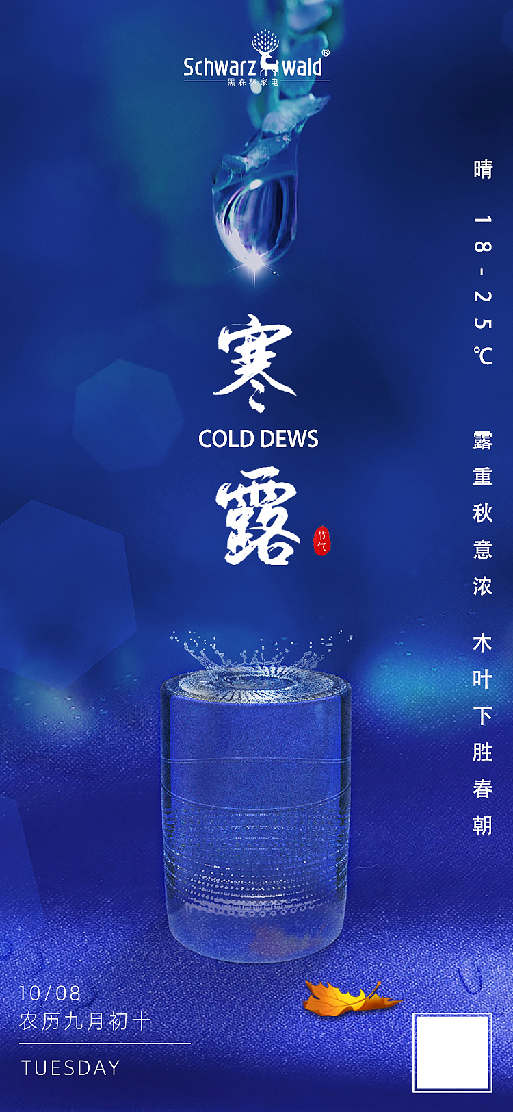 重阳节寒露节日