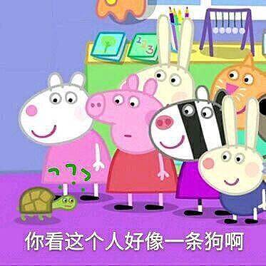 小猪佩奇表情包 社会人才可以点赞 ._.（图ZMTExMzk5MTQ0） - 艺术插画 - 站酷设计师Zhanyyy原创素材 - 站酷ZCOOL