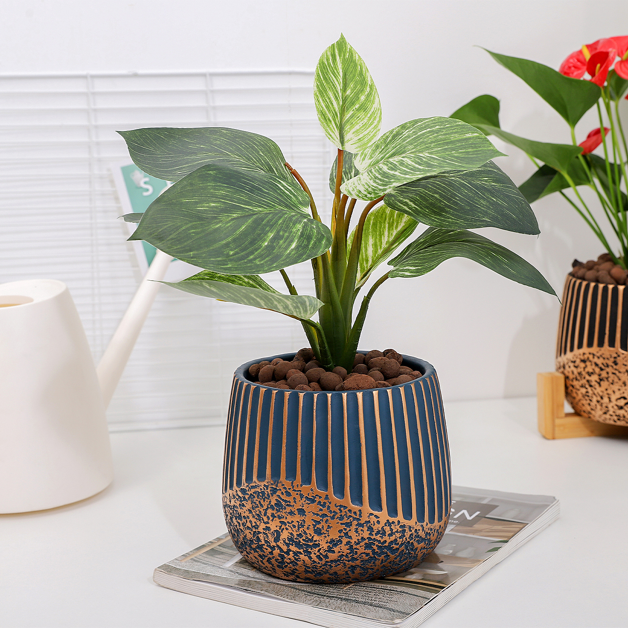 花盆实拍场景图