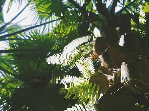 之前照片（個人主頁-ZMzcwMDk3NzY=） - 風(fēng)光攝影 - 站酷設(shè)計師微笑設(shè)計原創(chuàng)素材 - 站酷ZCOOL