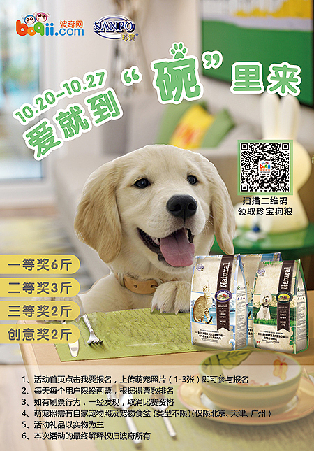 十月宠物海报 宣传（图ZNjExNzM0MDg=） - 海报 - 站酷设计师mayidefei原创素材 - 站酷ZCOOL