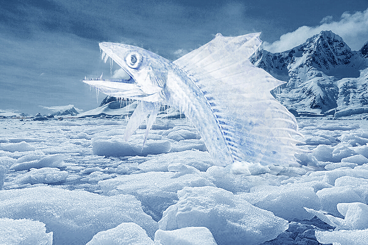 海洋怪兽 深海怪鱼 海鱼-cg模型免费下载-CG99